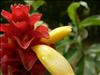 Jardin Botanico (13)